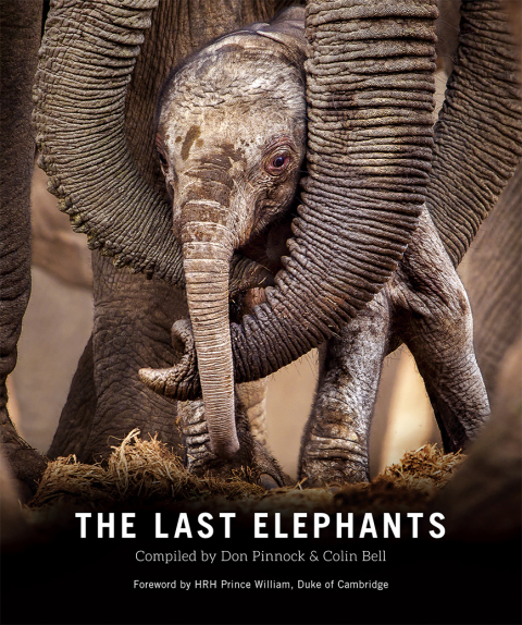Cover image for book The Last Elephants