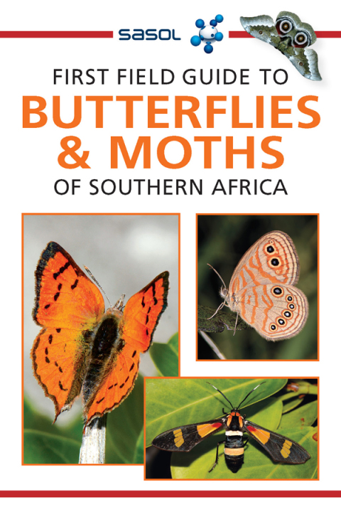 Cover image for book Sasol First Field Guide to Butterflies & Moths