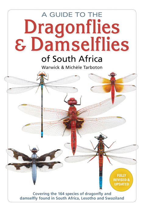 Cover image for book A Guide to the Dragonflies and Damselflies of South Africa