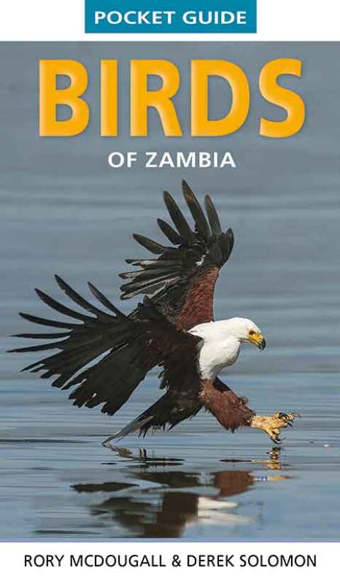 Cover image for book Pocket Guide Birds of Zambia