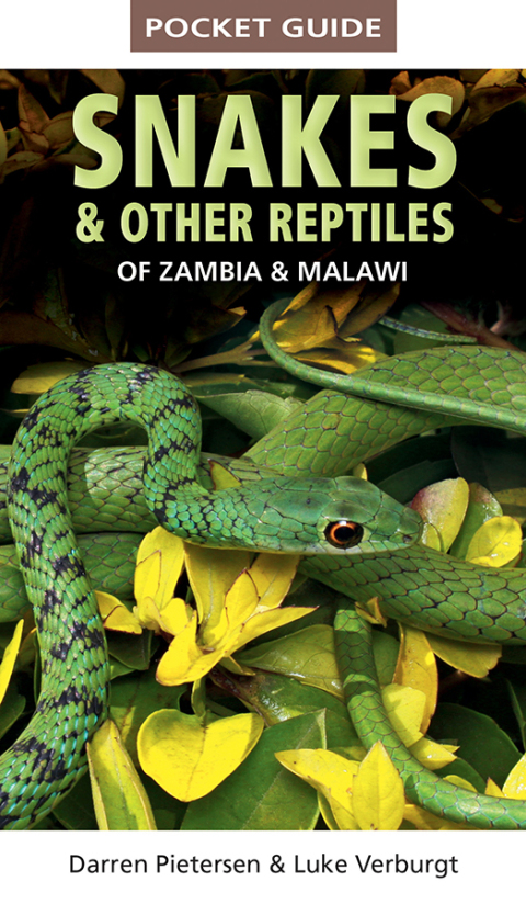 Cover image for book Pocket Guide Snakes & Other Reptiles of Zambia & Malawi
