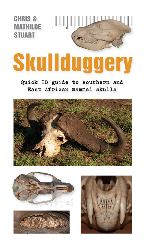 Cover image for book Skullduggery