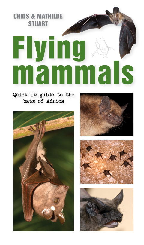 Cover image for book Flying Mammals