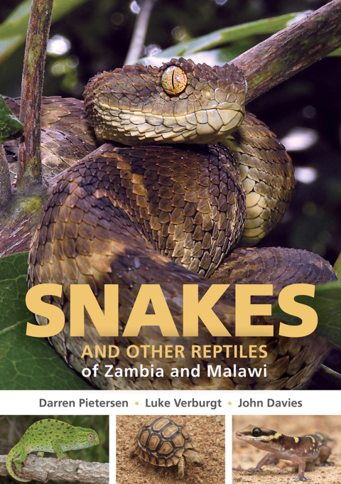 Cover image for book Snakes and other Reptiles of Zambia and Malawi