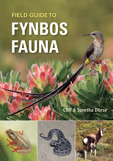 Cover image for book Field Guide to Fynbos Fauna