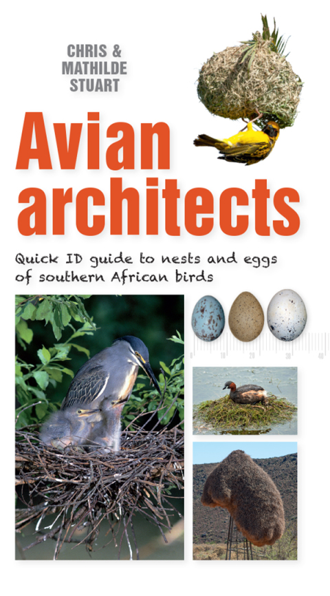 Cover image for book Quick ID Guide – Avian Architects