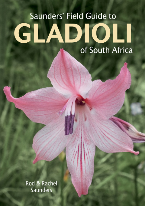 Cover image for book Saunders’ Field Guide to Gladioli of South Africa