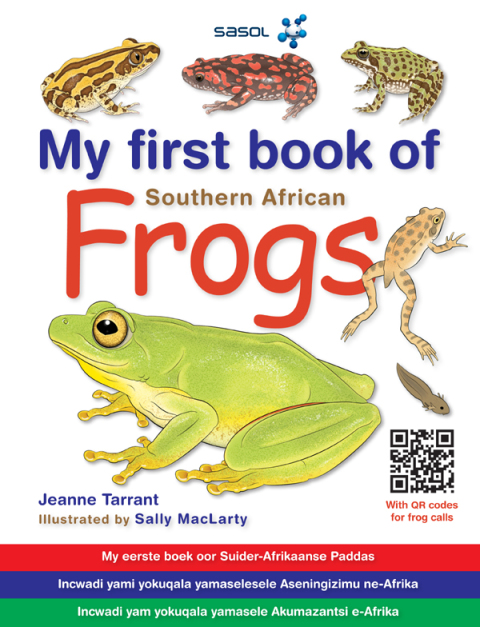 Cover image for book My First Book of Frogs of Southern Africa