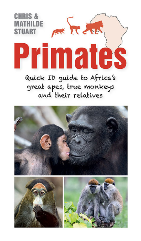 Cover image for book Primates
