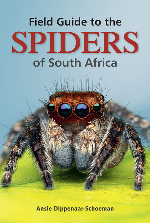 Cover image for book Field Guide to the Spiders of South Africa