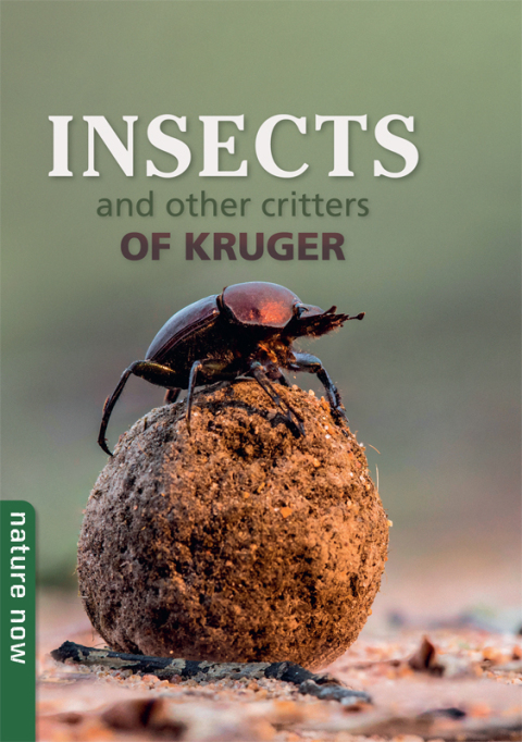Cover image for book Insects and other Critters of Kruger