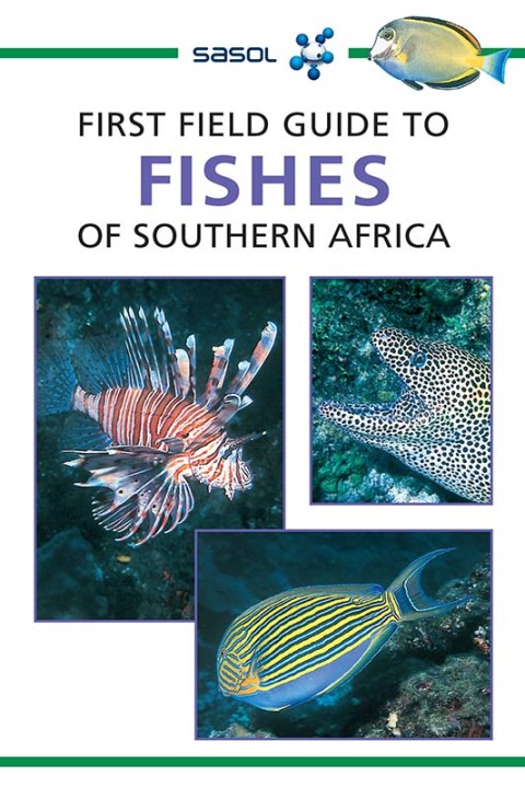 Cover image for book Sasol First Field Guide to Fishes of Southern Africa