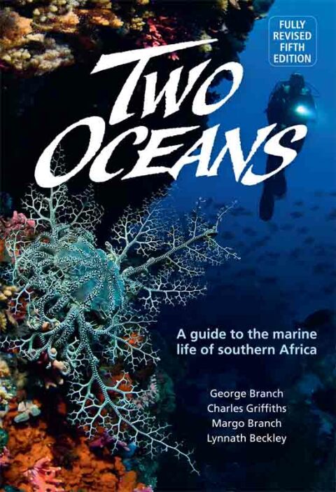 Cover image for book Two Oceans