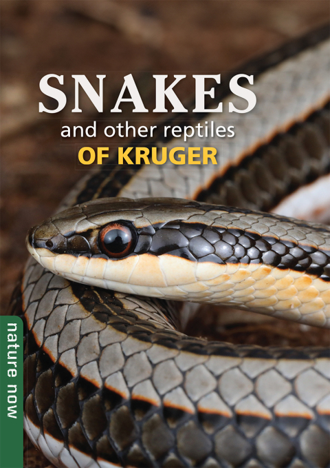 Cover image for book Snakes and other reptiles of Kruger
