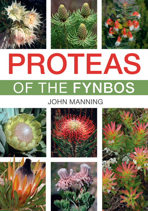 Cover image for book Proteas of the Fynbos