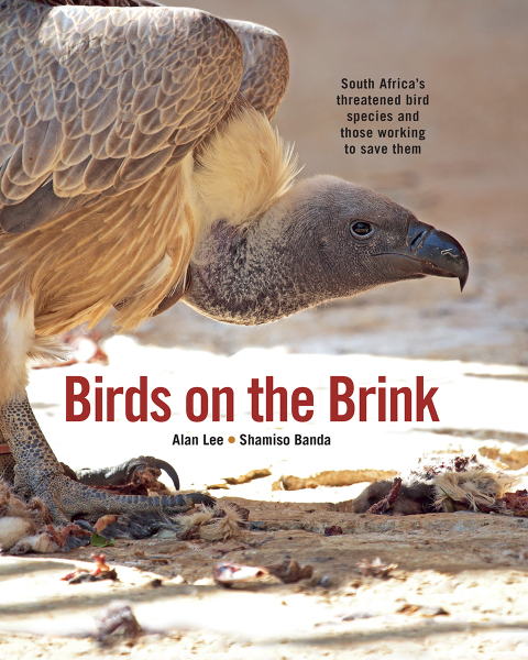 Cover image for book Birds on the Brink