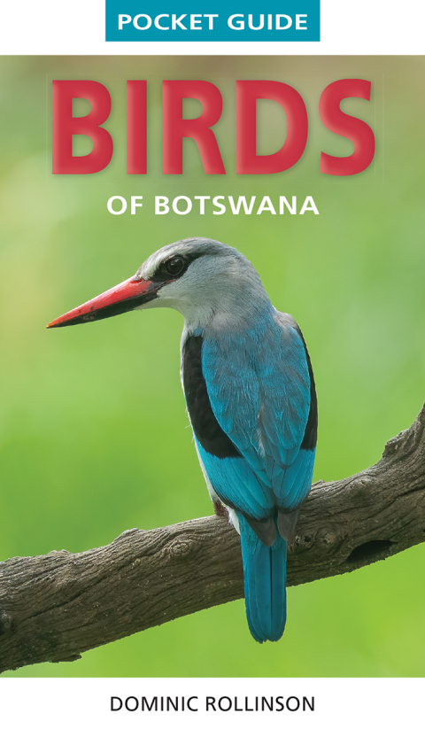 Cover image for book Pocket Guide Birds of Botswana