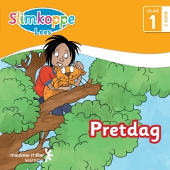 PRETDAG (VLAK 1) (BOEK 3)