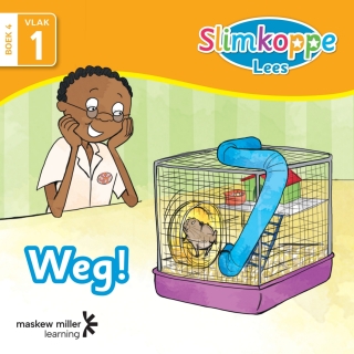 Weg (Vlak 1) (Boek 4)