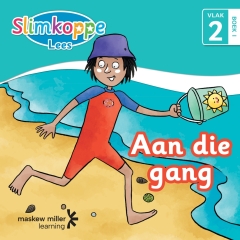 SLIMKOPPE  AAN DIE GANG (VLAK 2) (BOEK 1) GR R-3