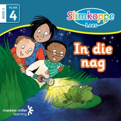 IN DIE NAG (VLAK 4) (BOEK 3)