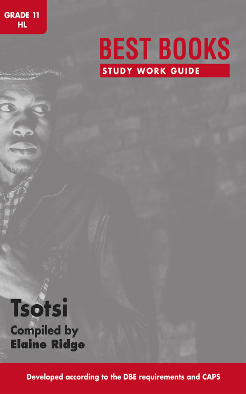 Cover image for book Study Work Guide: Tsotsi Grade 11 Home Language