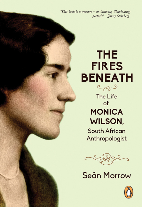 Cover image for book The Fires Beneath