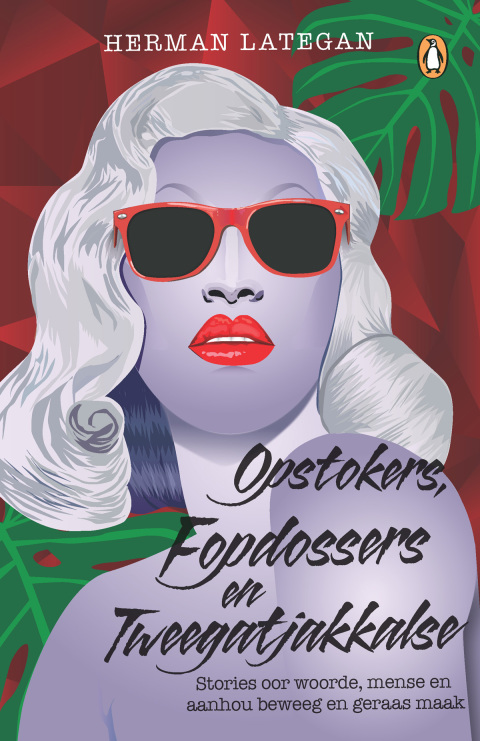 Cover image for book Opstokers, fopdossers en tweegatjakkalse