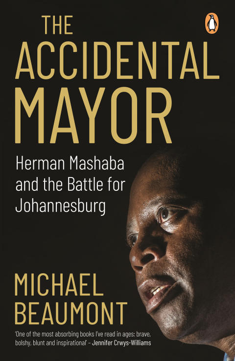 Cover image for book The Accidental Mayor