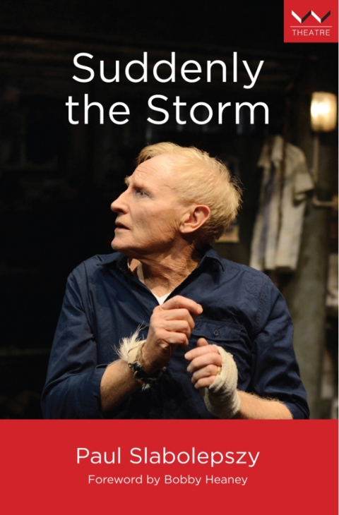 Cover image for book Suddenly the Storm