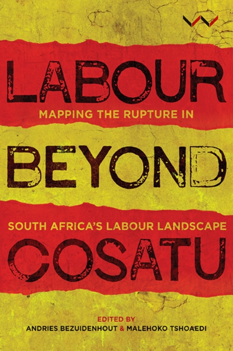 Cover image for book Labour Beyond Cosatu