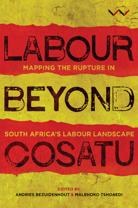 Cover image for book Labour Beyond Cosatu