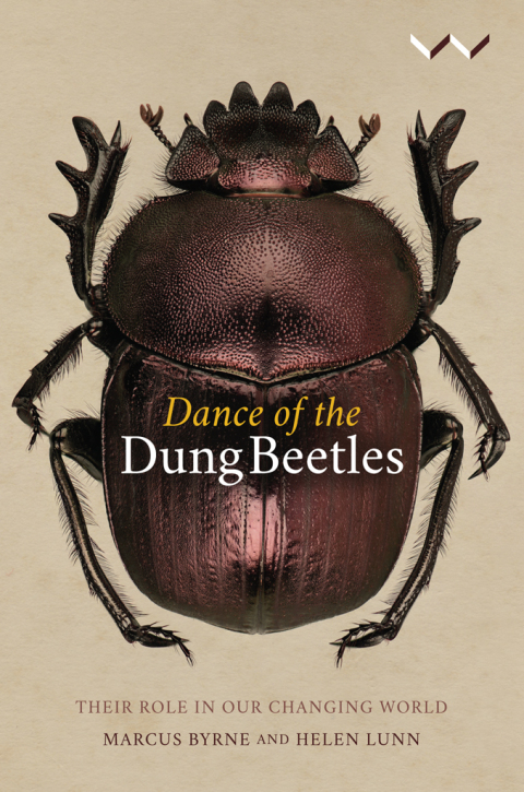 Cover image for book Dance of the Dung Beetles