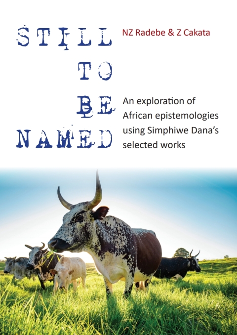 Still to be Named: An exploration of  African epistemologies using Simphiwe Danaâs selected works 
