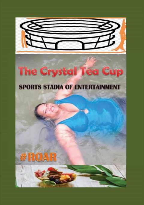 Cover image for book Sports Stadia of Entertainment