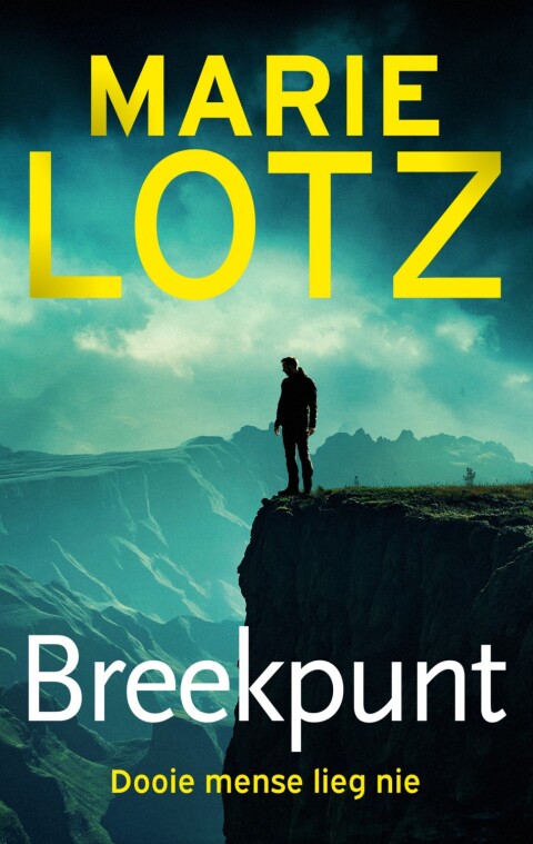Cover image for book Breekpunt