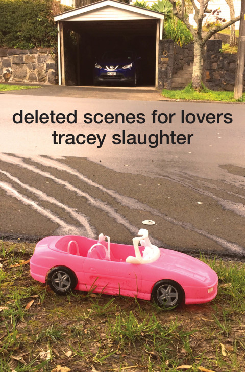 Cover image for book Deleted Scenes for Lovers