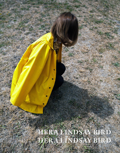 Cover image for book Hera Lindsay Bird