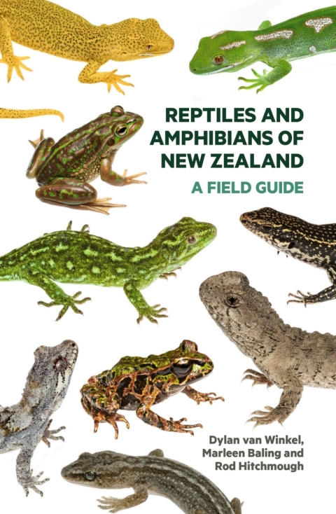 Cover image for book Reptiles and Amphibians of New Zealand