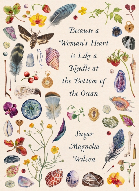 Cover image for book Because a Woman's Heart is Like a Needle at the Bottom of the Ocean
