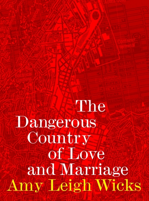 Cover image for book The Dangerous Country of Love and Marriage