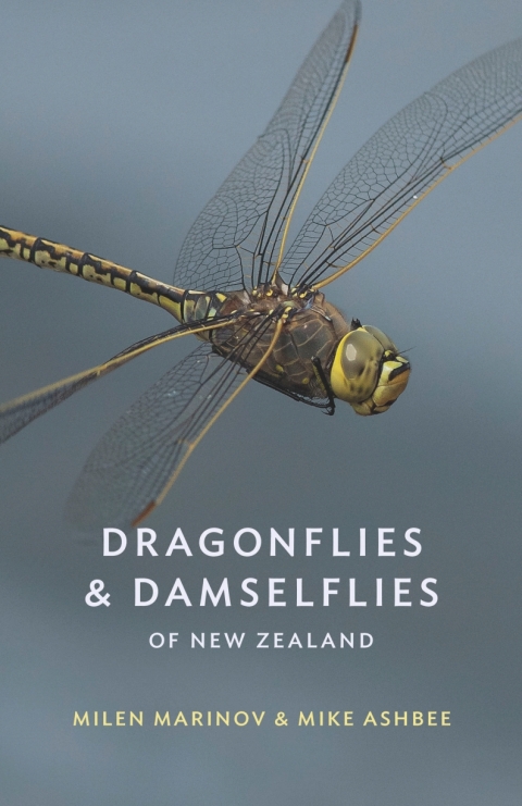 Cover image for book Dragonflies and Damselflies of New Zealand