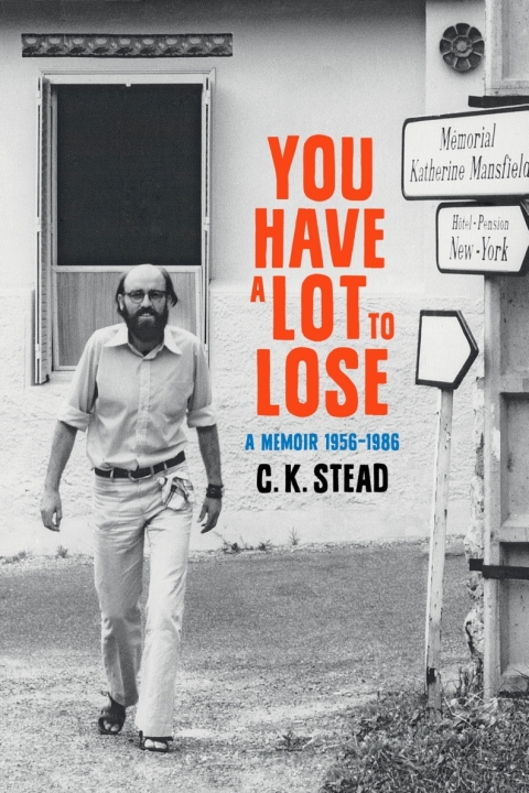 Cover image for book You have a Lot to Lose
