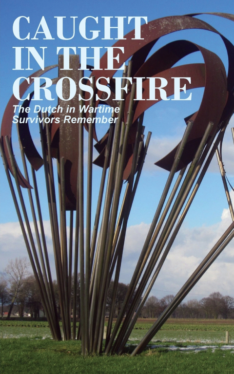 Cover image for book Caught in the crossfire