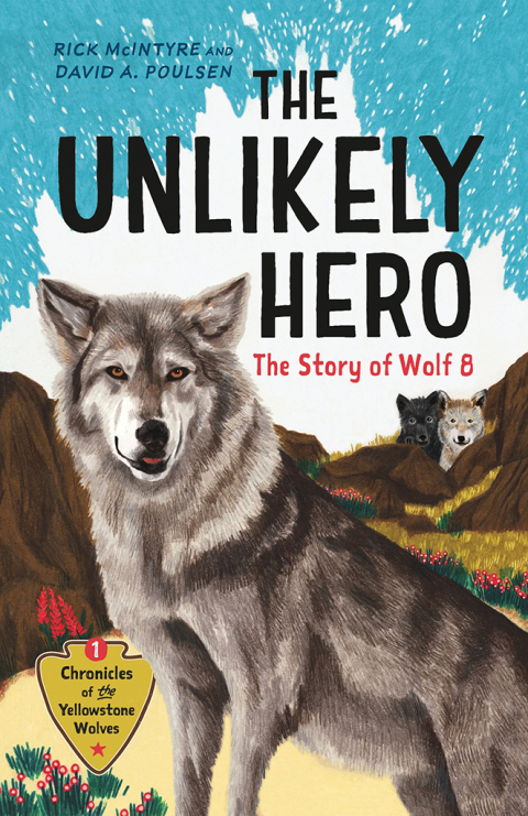 Cover image for book The Unlikely Hero