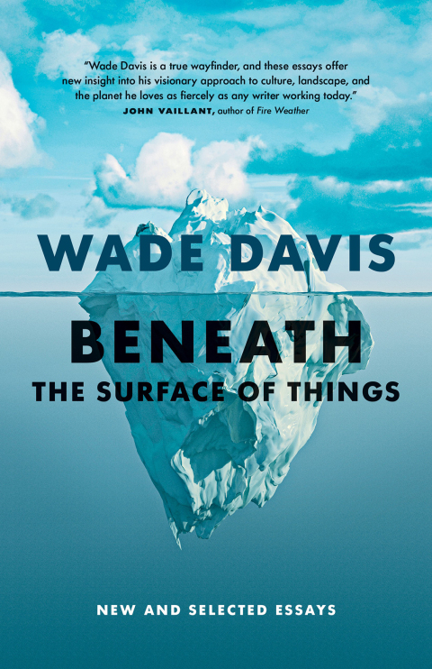 Cover image for book Beneath the Surface of Things