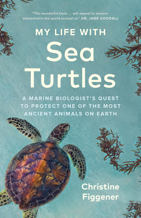 Cover image for book My Life with Sea Turtles
