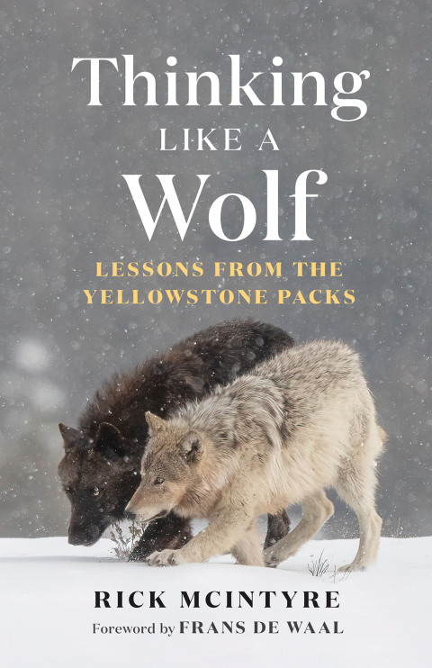 Cover image for book Thinking Like a Wolf