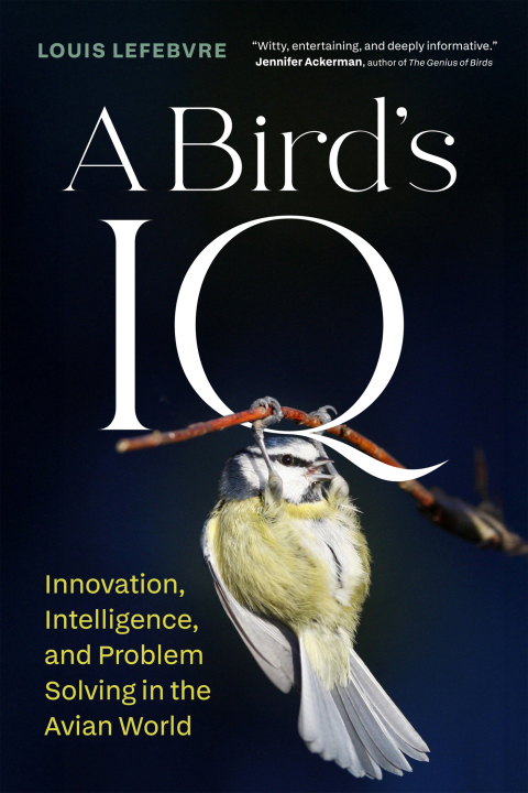 Cover image for book A Bird's IQ