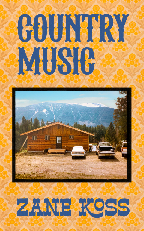 Cover image for book Country Music